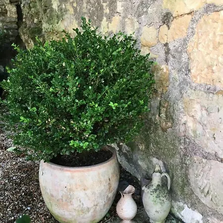 Maison Boheme Semesterbostad