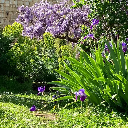 Tatil Evi Maison Boheme *