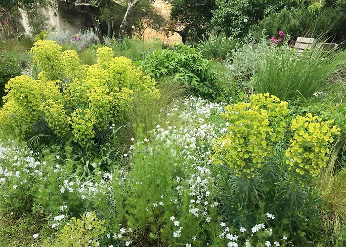 Maison Boheme * Rou-Marson