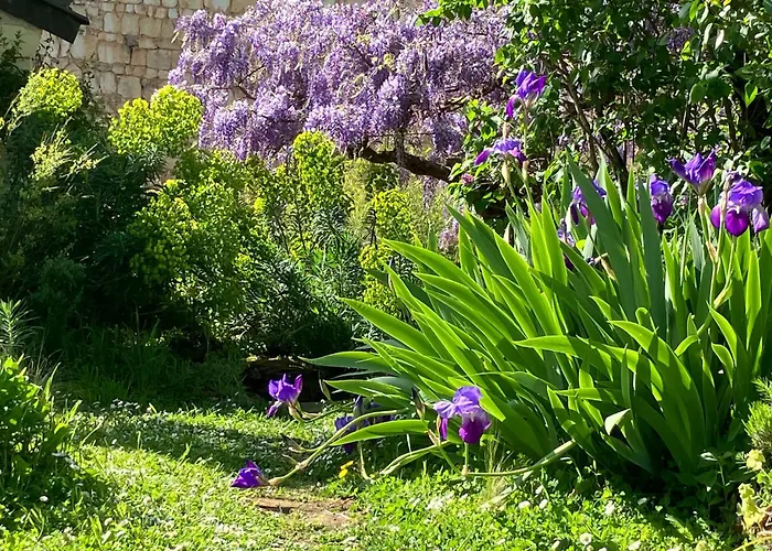 בית נופש Maison Boheme *