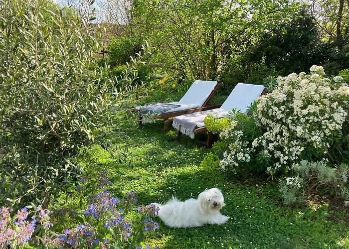 בית נופש Maison Boheme